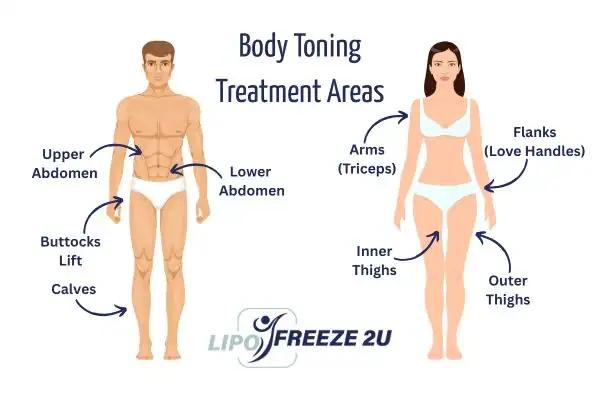 Graphic showing where you can have Body toning Treatment Sale on your body